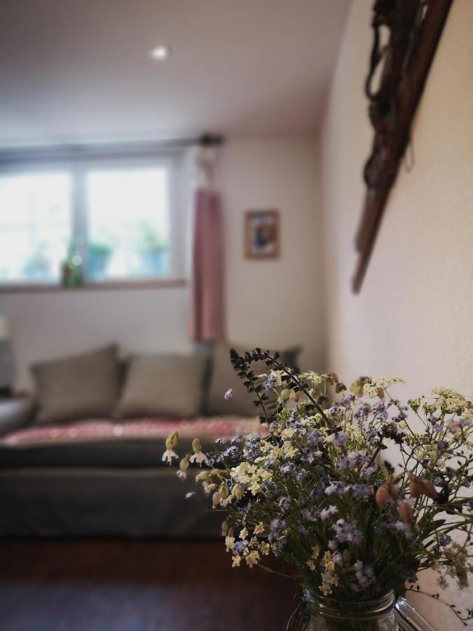 Urchige 2-Zimmerwohnung Matten  Экстерьер фото